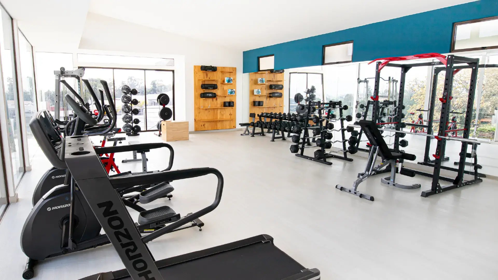 Gimnasio equipado de dos plantas en Condominio Naz, Alajuela. Muestra zona de cardio con máquinas Horizon, rack de pesas rusas, mancuernas y amplios ventanales con vista. Amenidad de Eurohogar en Alajuela.