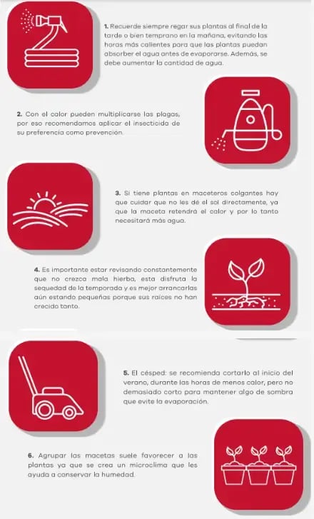 Infografía con consejos para el cuidado del jardín en verano incluyendo riego control de plagas y mantenimiento