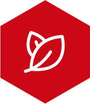 Icono de línea blanca que muestra dos hojas superpuestas, simbolizando naturaleza, áreas verdes y sostenibilidad, dentro de un hexágono de fondo rojo sólido.